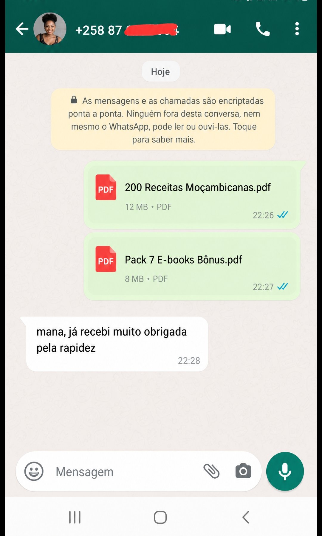 Entrega dos e-books do Kit confirmada no WhatsApp